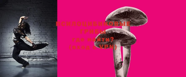 MDMA Заводоуковск
