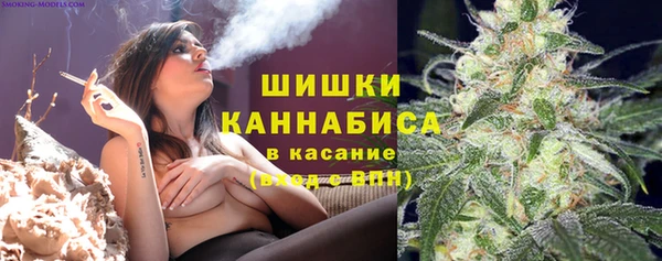 стафф Заволжск