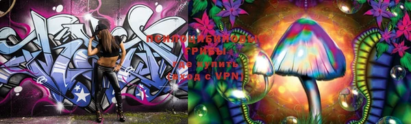 a pvp Тихорецк