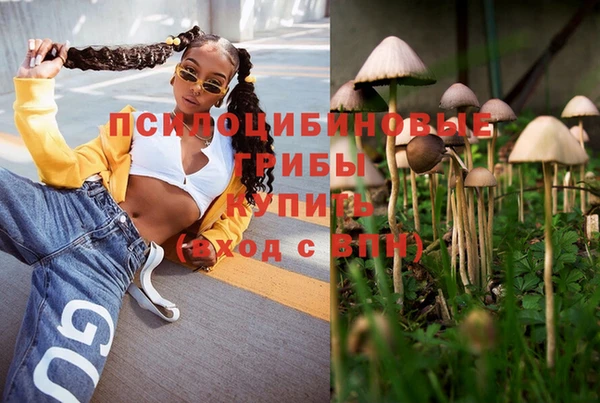 эйфоретик Заволжье