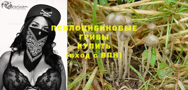 эйфоретик Заволжье