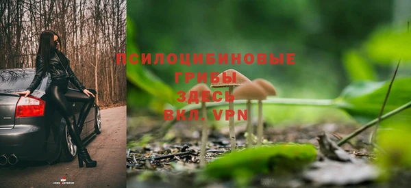 MDMA Заводоуковск