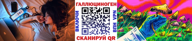 дарк нет как зайти  Струнино  Псилоцибиновые грибы прущие грибы  закладка 